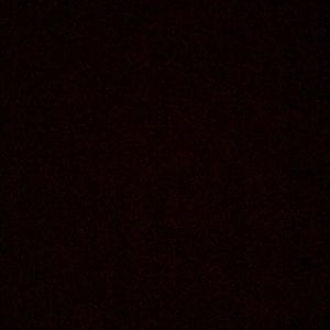 Meet your Posher, Gabriela